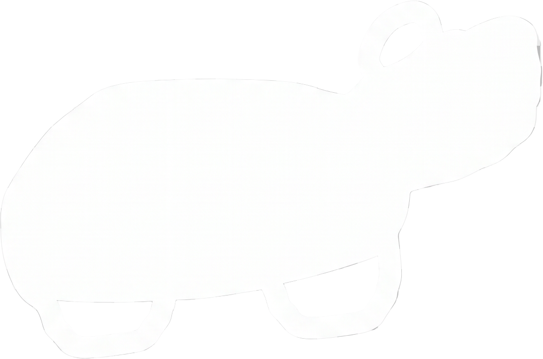 Tortuga UGA